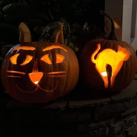 Meet your Posher, Amy - Picture 1 of 1